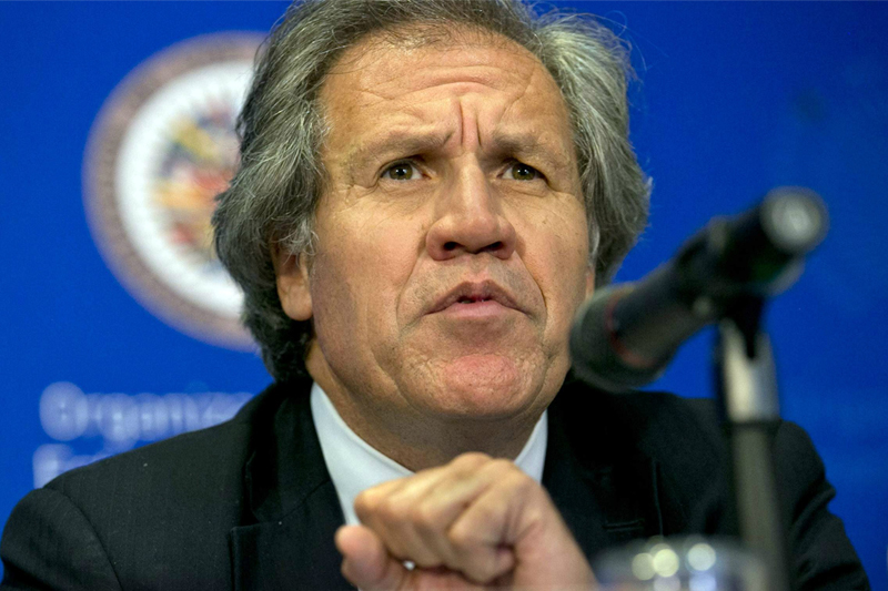 Luis Almagro, secretario general de la OEA / EFE