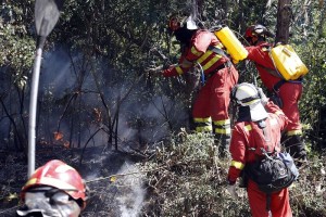 Se han extinguido 12 de los 131 incendios registrados
