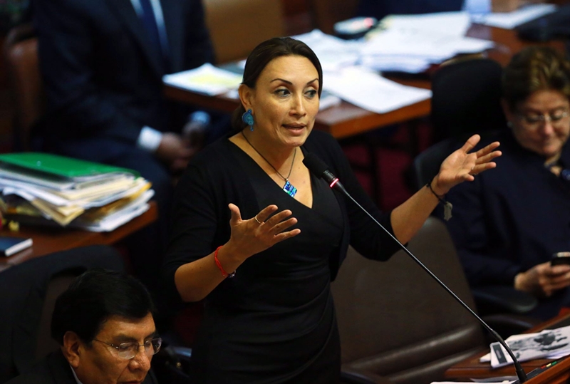 Patricia Donayre, presidenta de la subcomisión de Reforma Electora
