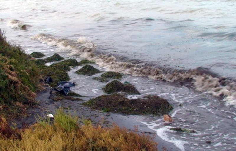 Playas en cuba contaminadas