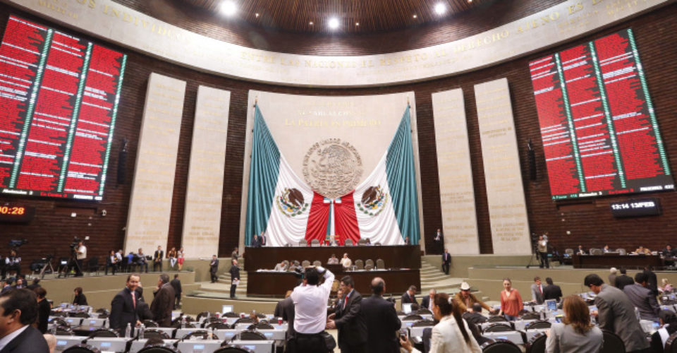 Foto cortesía de Animal Político